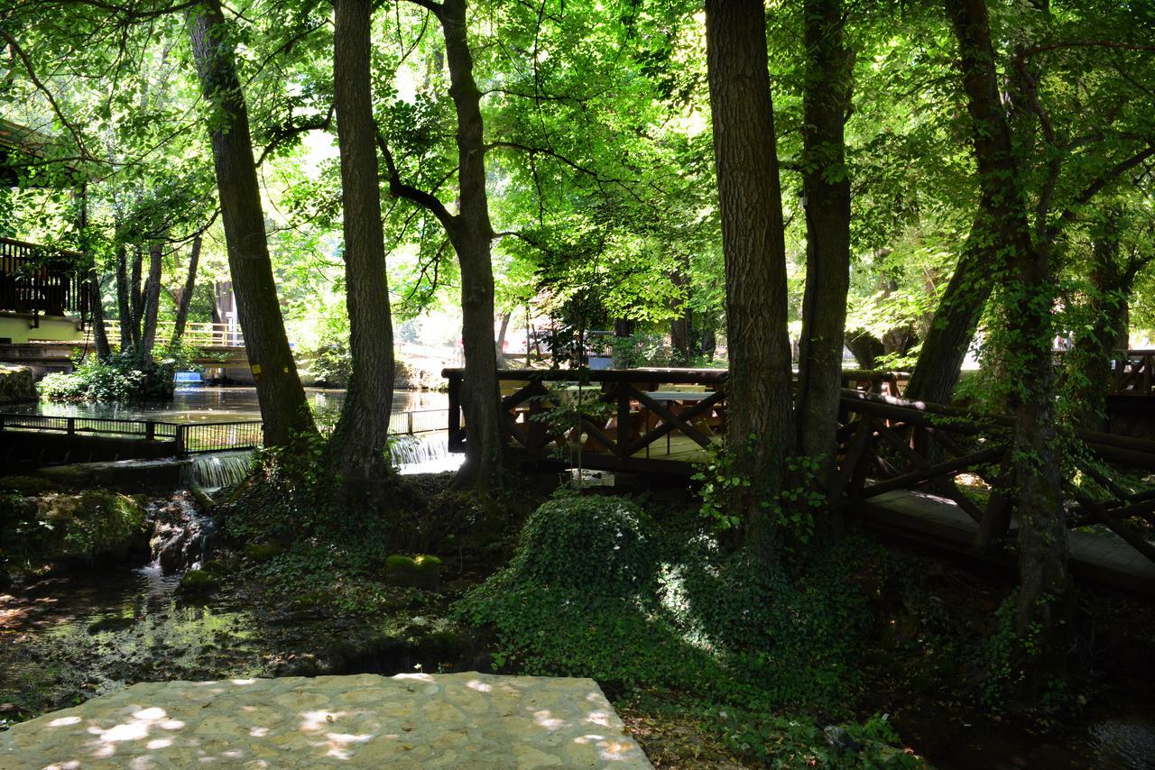 Garni Hotel Vila Drina Perucac Exterior foto